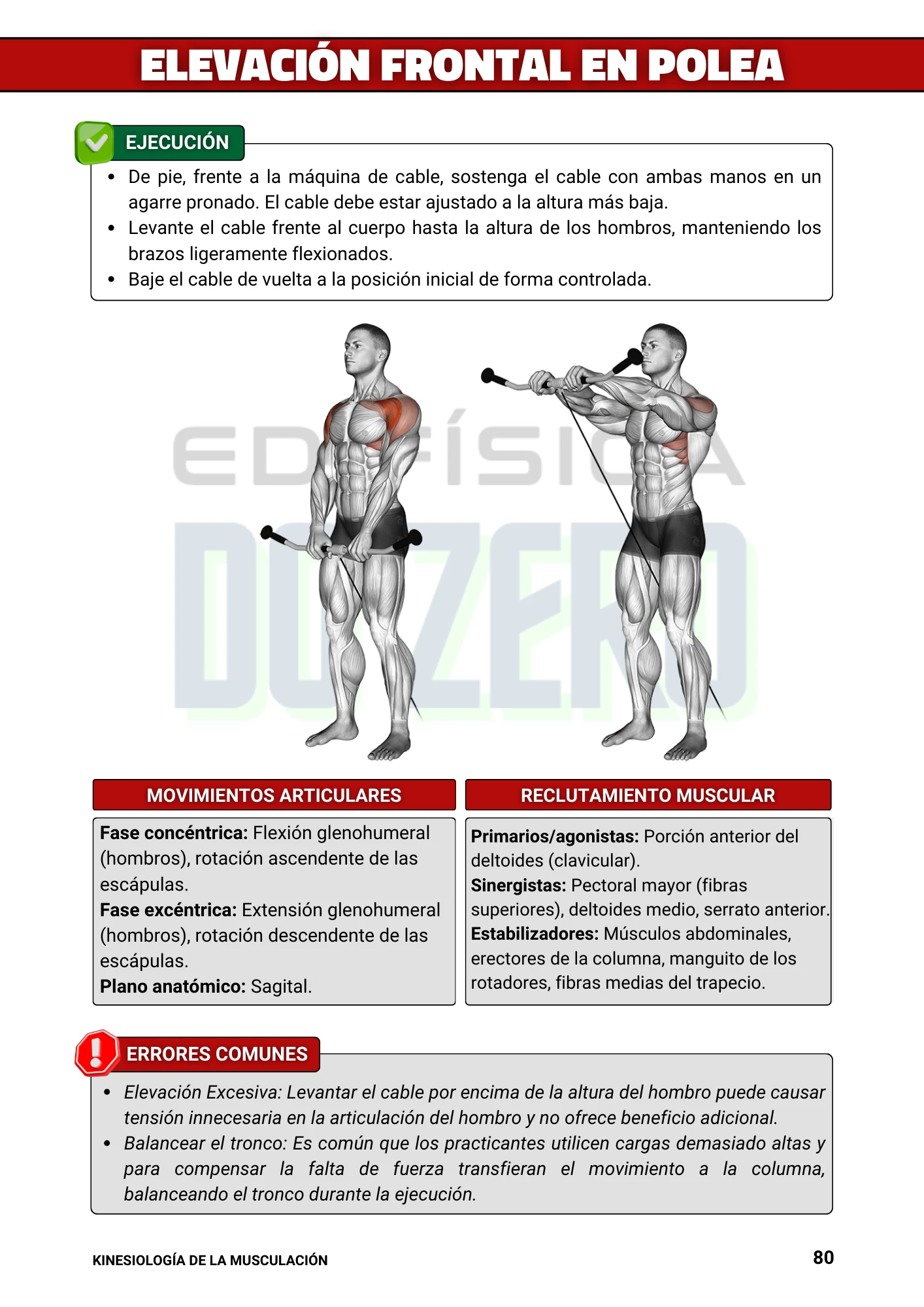 2ed. Kinesiología de la Musculación (3)