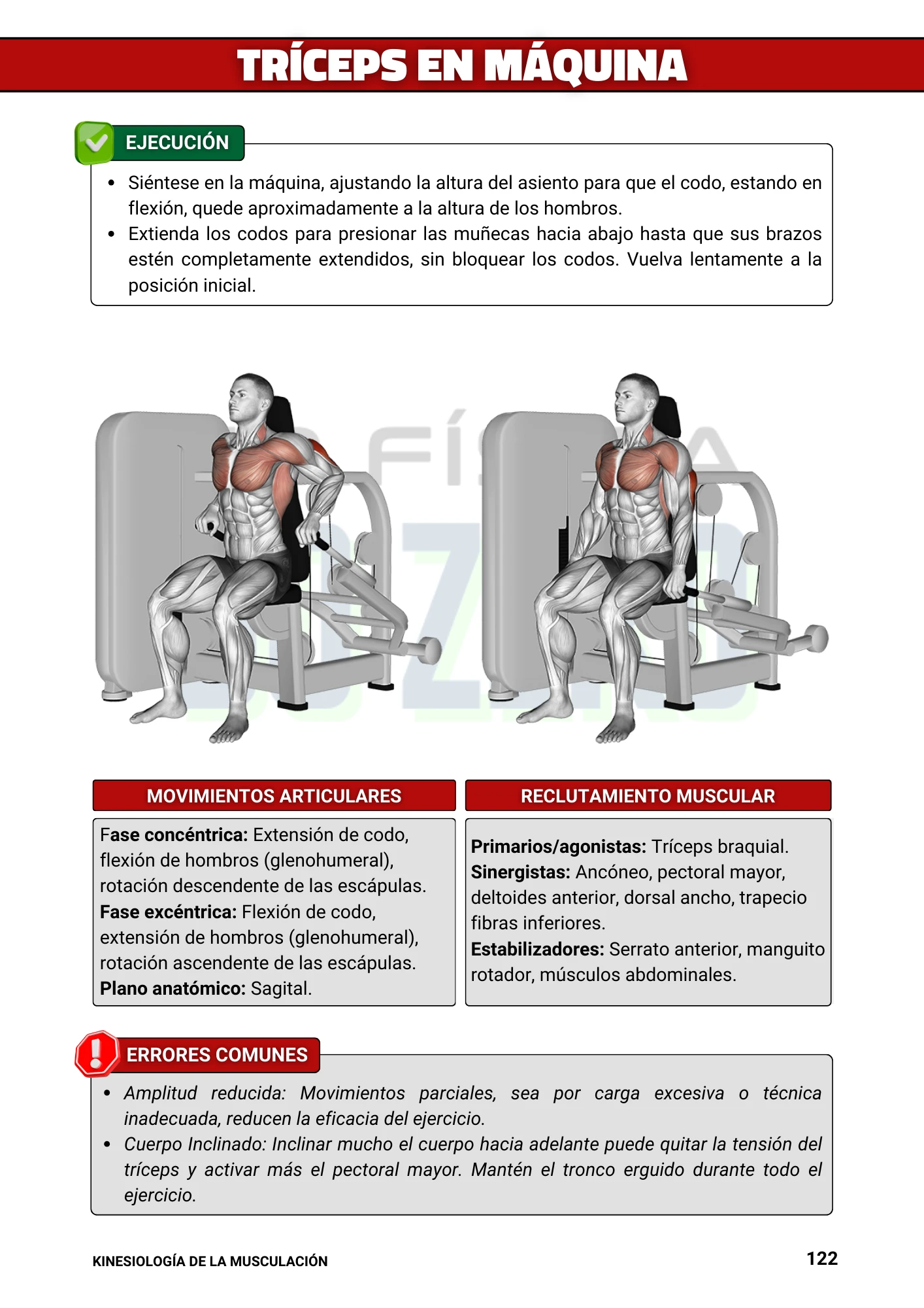 2ed. Kinesiología de la Musculación (4)