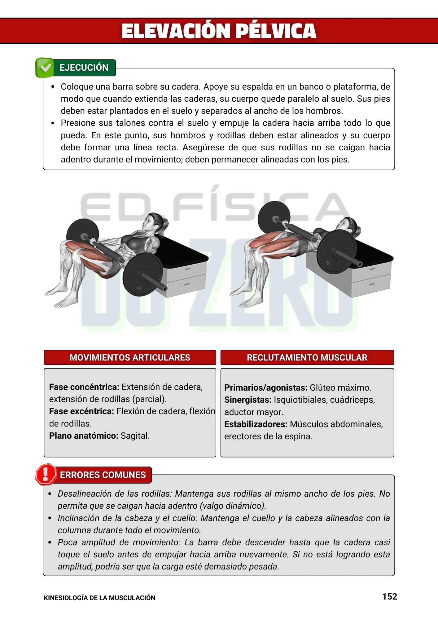 2ed. Kinesiología de la Musculación (9)