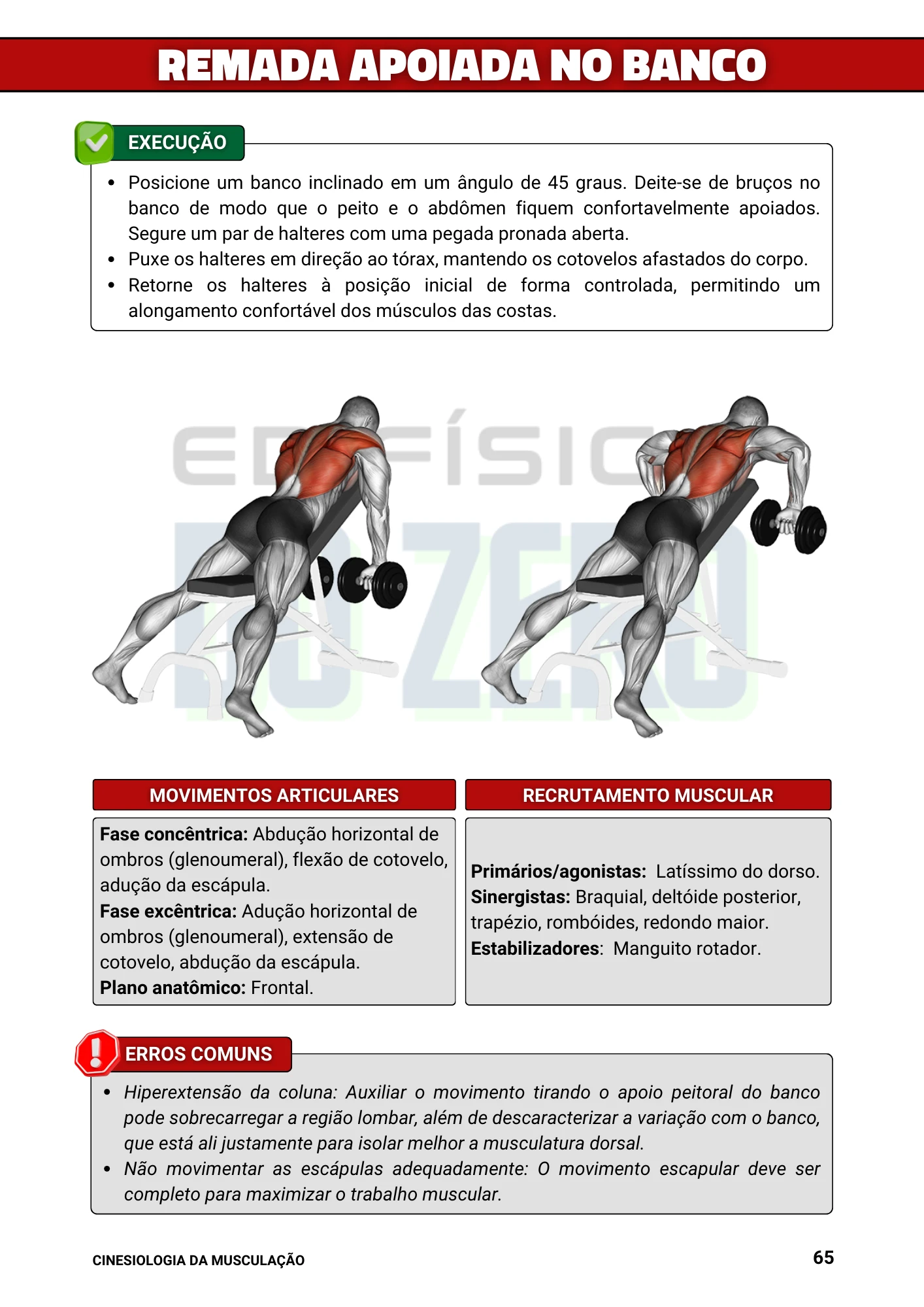 Cópia de Manual Ilustrado de Musculação (1)