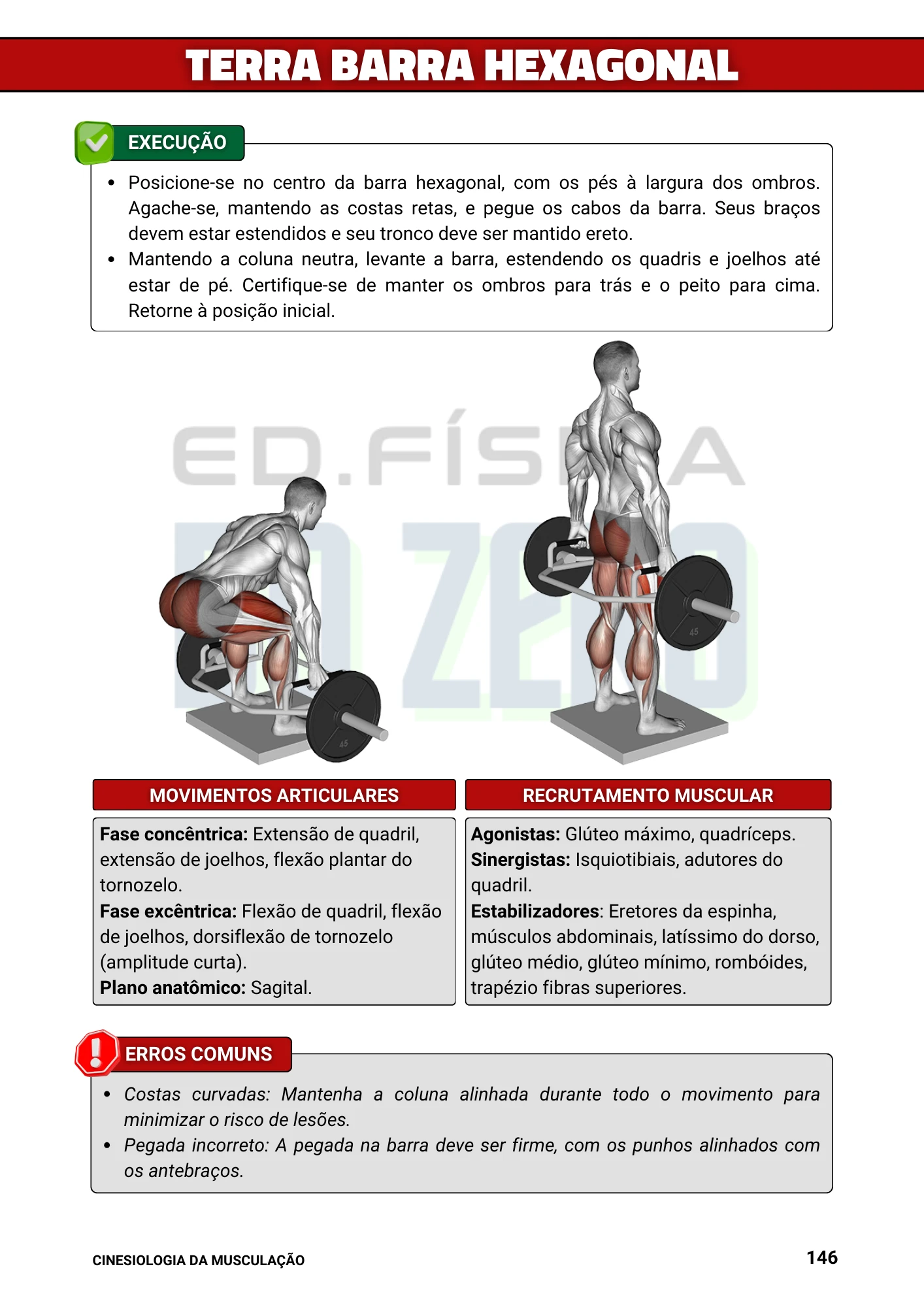 Cópia de Manual Ilustrado de Musculação (11)
