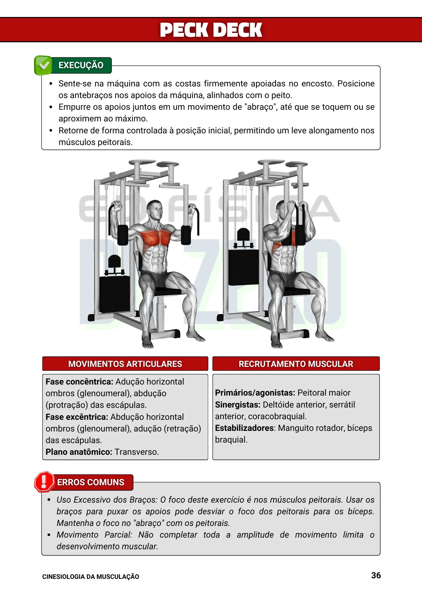 Cópia de Manual Ilustrado de Musculação (13)