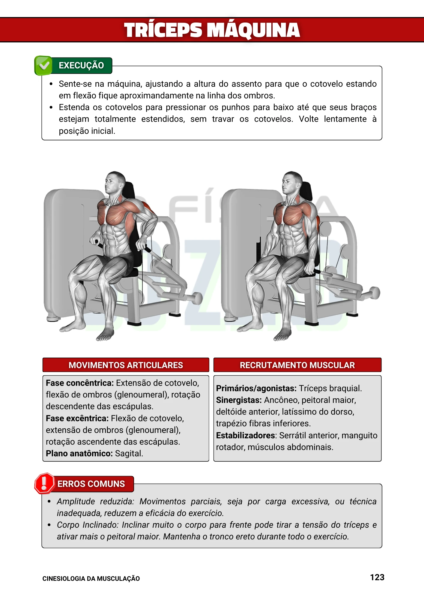 Cópia de Manual Ilustrado de Musculação (6)