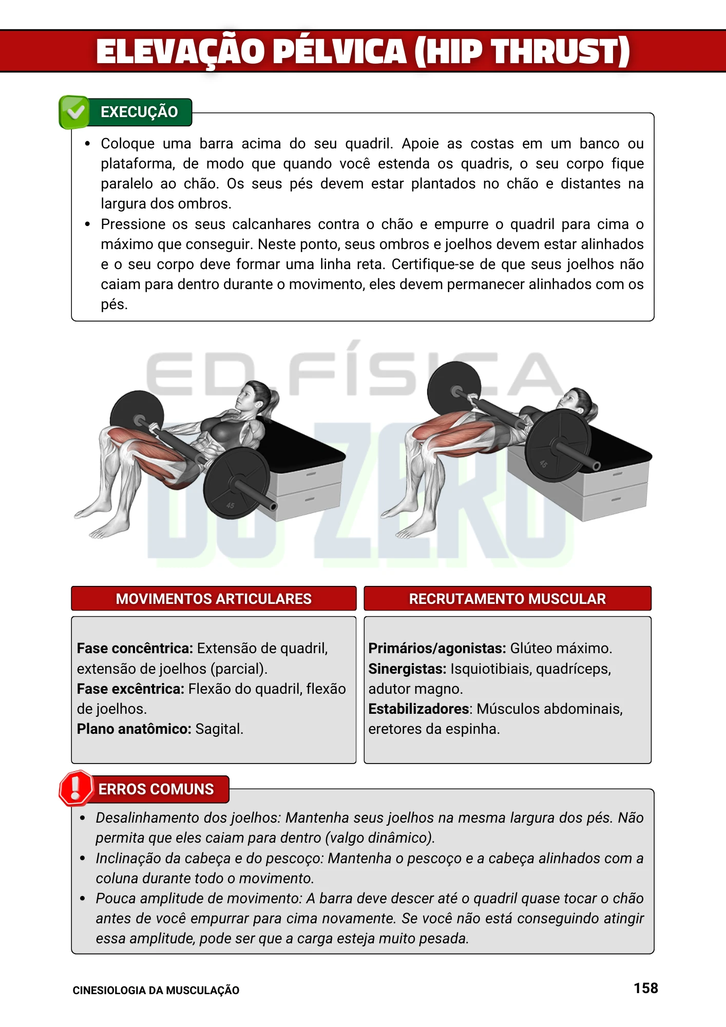 Cópia de Manual Ilustrado de Musculação (9)