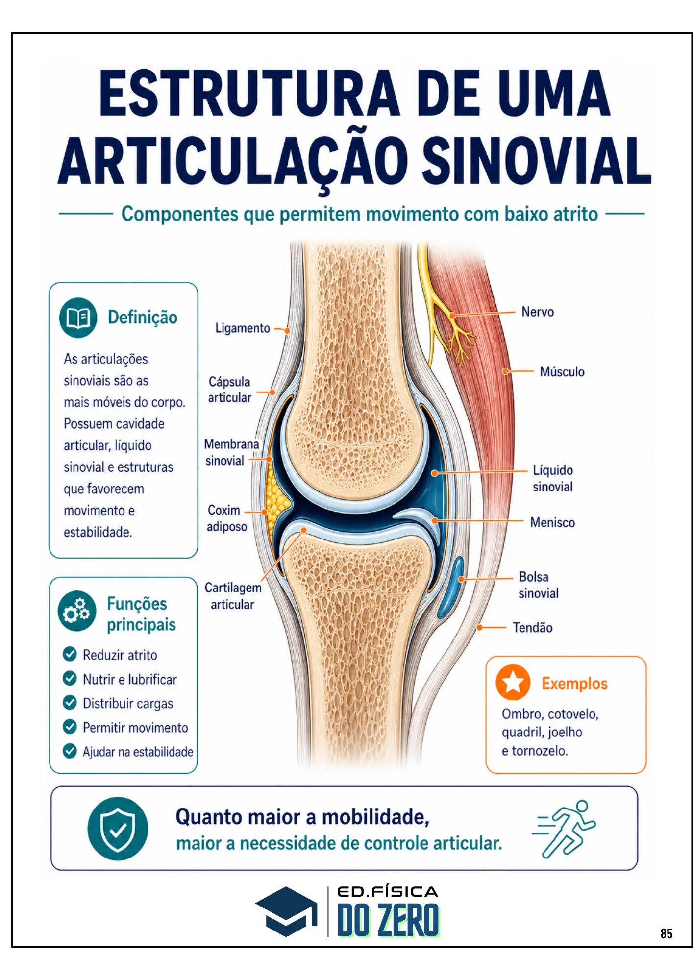 Ebook Biomecânica (12)