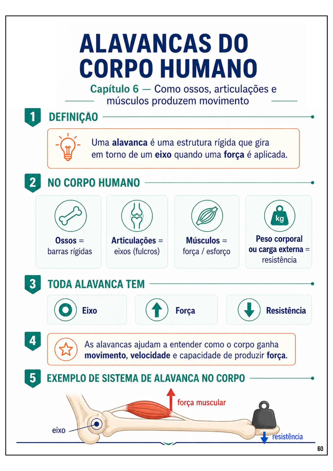 Ebook Biomecânica (8)